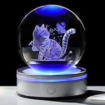 71L8+V7HXjL._AC_UL210_SR210,